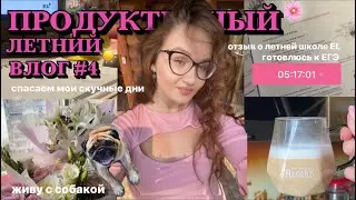 ПРОДУКТИВНЫЙ летний влог #4 🏖️🌻☀️|| летняя школа в ЕГЭLand💯|| готовлюсь к егэ по биологии и химии🧪