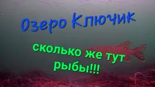 Озеро Ключик. Рыба просто кишит в этом озере!!! Потрясающие кадры на подводную камеру.
