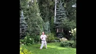 #hanshi #karate #yakunin #kyokushin #kyokushinkarate