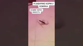 мем #shorts #смешно #юмор #рекомендации