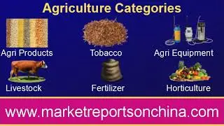 Investigate Food and Beverage statistical surveying necessities