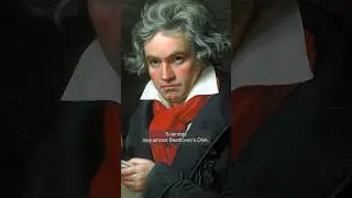 Why did we sequence Beethoven’s DNA?