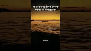 श्री हित premanand govind जी महाराज ••• #राधा #premanandgovindsharanji #premanand_ji_maharaj #shorts