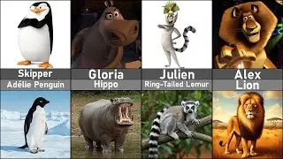Madagascar Characters in Real Life
