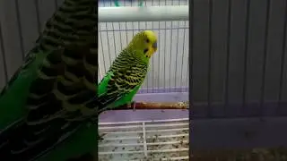 Этот взгляд в конце...