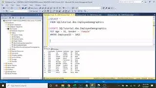 Intermediate SQL Tutorial | Updating/Deleting Data