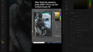 Removing the Fence on the Image with Photoshop