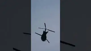 SAF Chinook