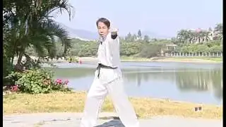 Hop Ga Kung Fu Instructional Part# B