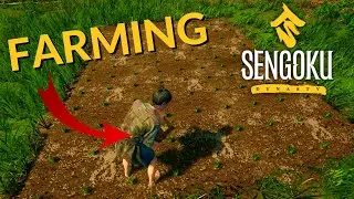 MAJOR UPDATE! FARMING SENGOKU DYNASTY