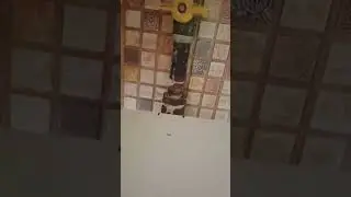 если убрать вытяжку на кухне тогда ставь полку для специй