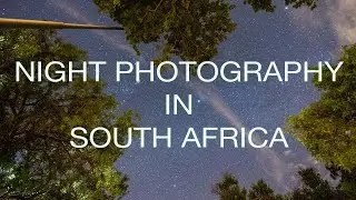 Night photography in South Africa - rain, trees, lights and bugs