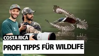 Learn Wildlife Photography on a Costa Rica Expedition with Sasan Amir 🐊