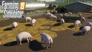 🚜#4 НАВОЗНАЯ ИМПЕРИЯ - РАЗВОДИМ СВИНЕЙ В FS19