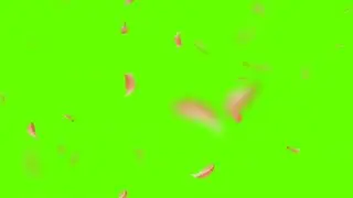 Falling flower effect | Green Screen Background | With Falling Flowers | 1 HOURS