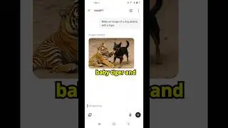 ChatGPT Android App Demo 🤖
