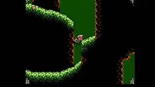 The Addams Family: Pugsley's Scavenger Hunt (NES, 1993)