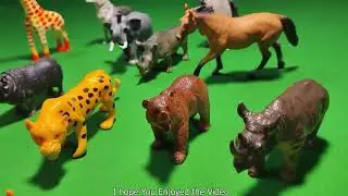 Playtime Safari Explore the Wild with Toy Animals