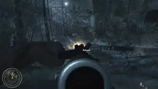 Call of Duty  World at War 2021