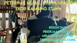 PEMUDA MANDIRI!! Resign dari pekerjaan dan memilih ternak kambing etawa di watuceleng sedan Rembang