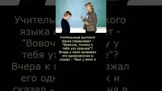 Анекдот про вовочку, лучший анекдот 