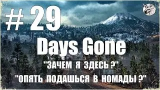 Days Gone #29 