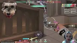 Ace hits differently when you know you are match against high elo player and you're a lucky potato