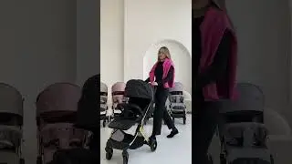 Идеальные коляски для путешествий