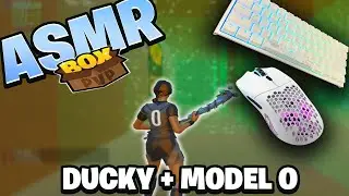 Ducky One 2 Mini | Box Fight ASMR Satisfying Gameplay
