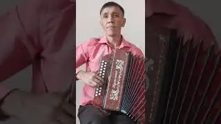Te LIevaré cover на гармони #кариммуратов #баянпобратски