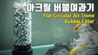아크릴 원통형 버블여과기 Flat Circular Air Stone Bubble Filter