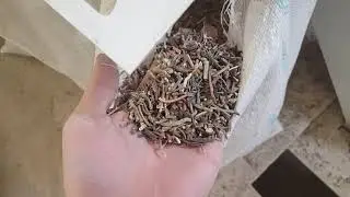 Green mung bean cleaning plant in Uzbekistan