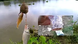 Khai trương đầu năm. trộn thêm thứ này vô để chống móm ngày đầu năm. ||MINH 69 VLOG