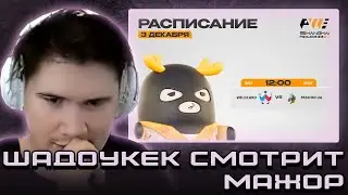 ШАДОУКЕК СМОТРИТ МАЖОР: ВЫХОД В ПЛЕЙ-ОФФ \ ЗАПИСЬ СТРИМА