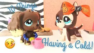 LPS: Twenty Things I Hate About Having a Cold!