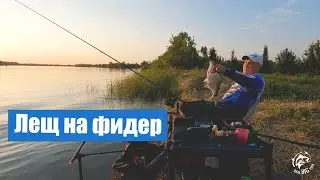 Лещ на фидер, рыбалка на Дону