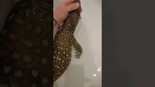 Чарли кайфует