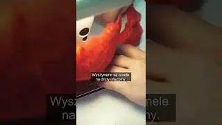 TAK POWSTAJE BIUSTONOSZ