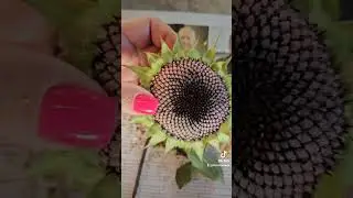 #music Метод расслабиться, релакс 🥰😍