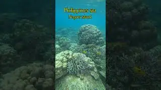 Philippines Sia 2024, Negros island