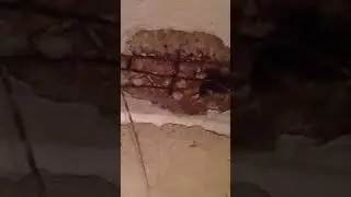ШМАКОДЯВКИ С ВЕРХНЕГО ЭТАЖА СУКИ
