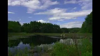 Timelapse - Stowe Swans