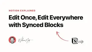 Notion Explained: Synced Blocks