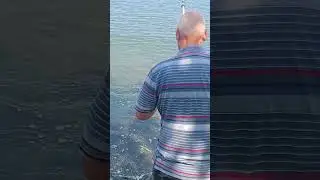 12 августа 2024 г.