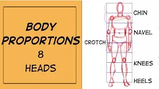 How to draw the HUMAN BODY PROPORTIONS CORRECTLY   8 HEADS