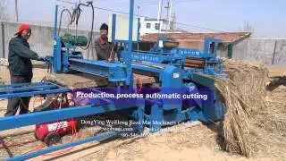 reed straw mat sewing machine / Hay mat straw machine / straw sewing macine