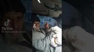 кафтарчата гам набоша бобои рачабали