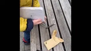 Мы нашли останки динозавра!!!!!Археологические раскопки
