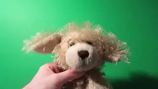 Webkinz Christmas Karaoke Night