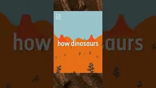 Trailer: Why were some dinosaurs so big? 